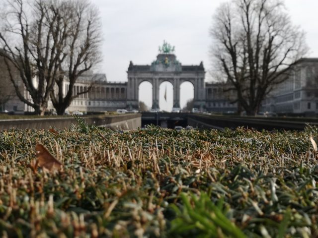 Évitez les embouteillages à Bruxelles : astuces pendant les travaux du tunnel