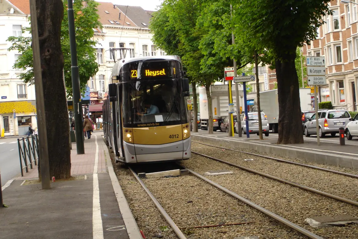 Un tramway STIB en direction du Heysel sur une avenue bordée d'arbres